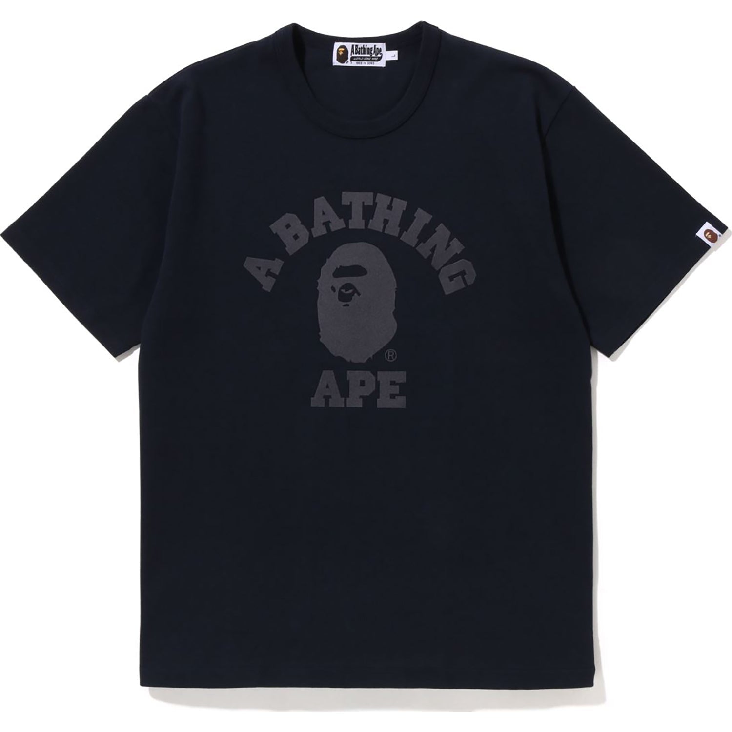 COLLEGE HEAVY WEIGHT TEE MENS